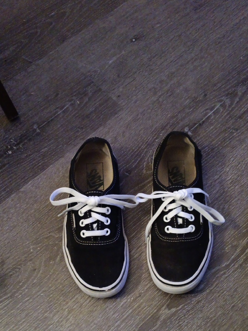 Vans Black Canvas Low-Top Sneakers with White Accents